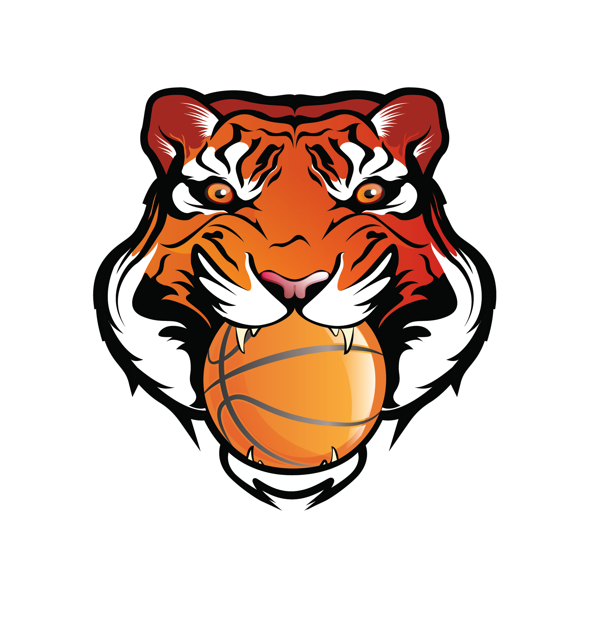 Rawlings Tigers Northern Illinois - Teams