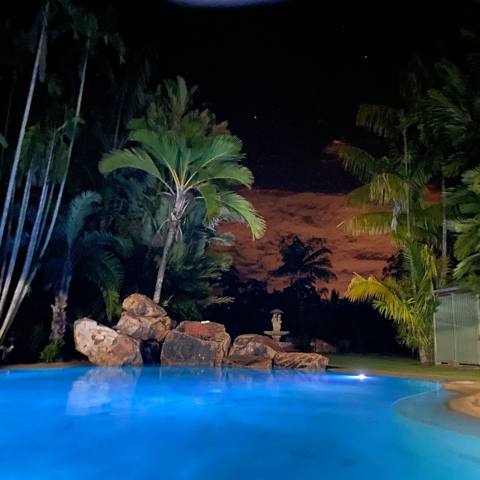 A Swimming Pool is Lit Up at Night With Palm Trees in the Background — Fannie Bay Pool Shop in Winnellie, NT