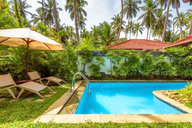 A Large Swimming Pool Surrounded by Palm Trees — Fannie Bay Pool Shop in Larrakeyah, NT