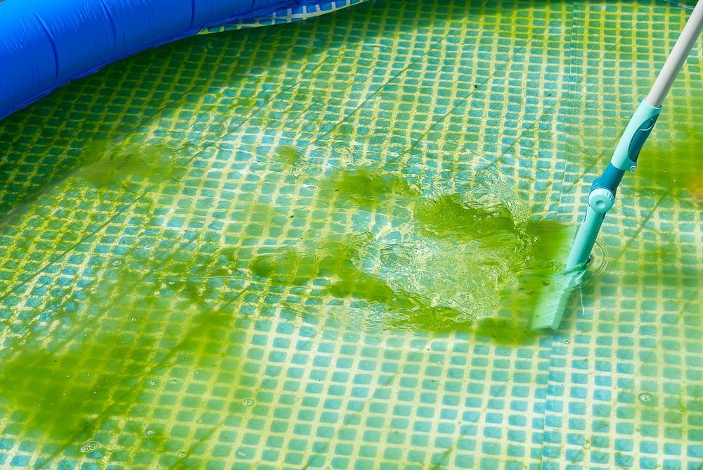 Green Algae Being Brushed From the Bottom of a Swimming Pool — Fannie Bay Pool Shop in Northern Suburbs, NT