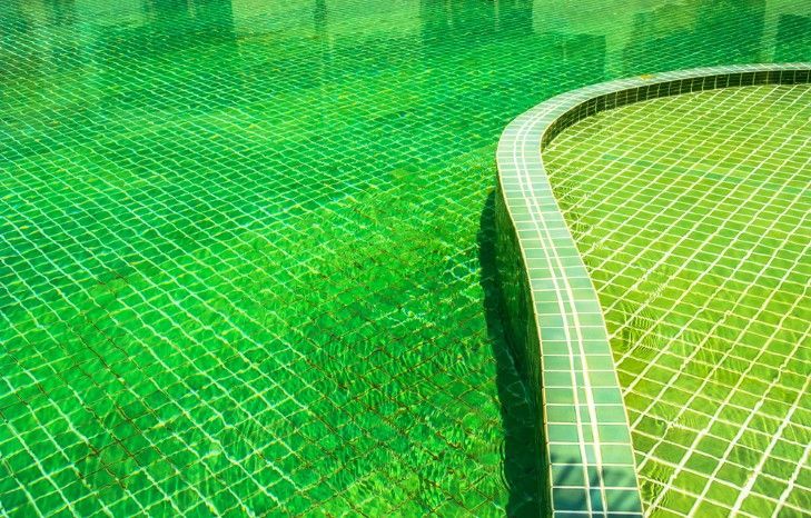 A Swimming Pool With Green Tiles and Green Water — Fannie Bay Pool Shop in Woolner, NT