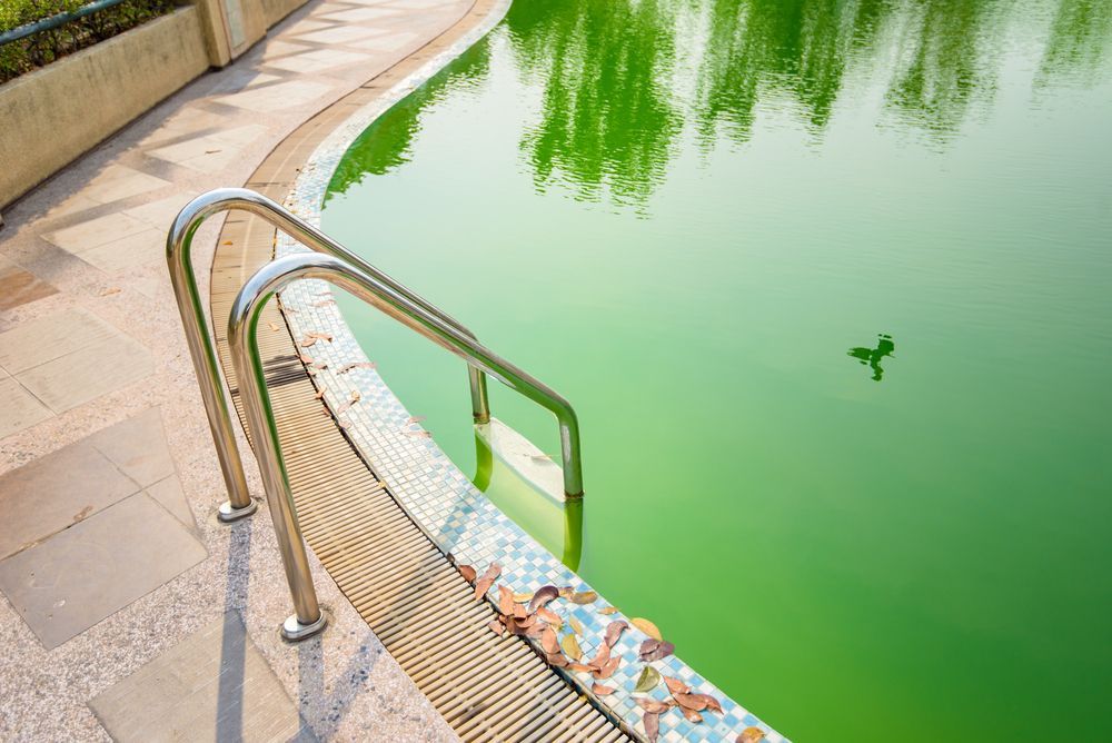 A Swimming Pool With Green Water and Stairs Leading to It — Fannie Bay Pool Shop in Winnellie, NT