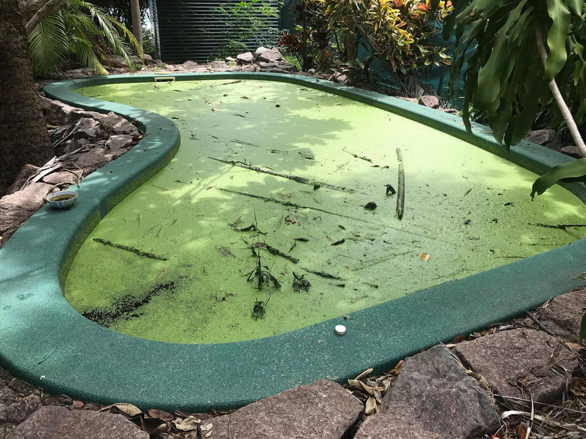 A Neglected Green-algae-covered Miniature Pool — Fannie Bay Pool Shop in Palmerston, NT