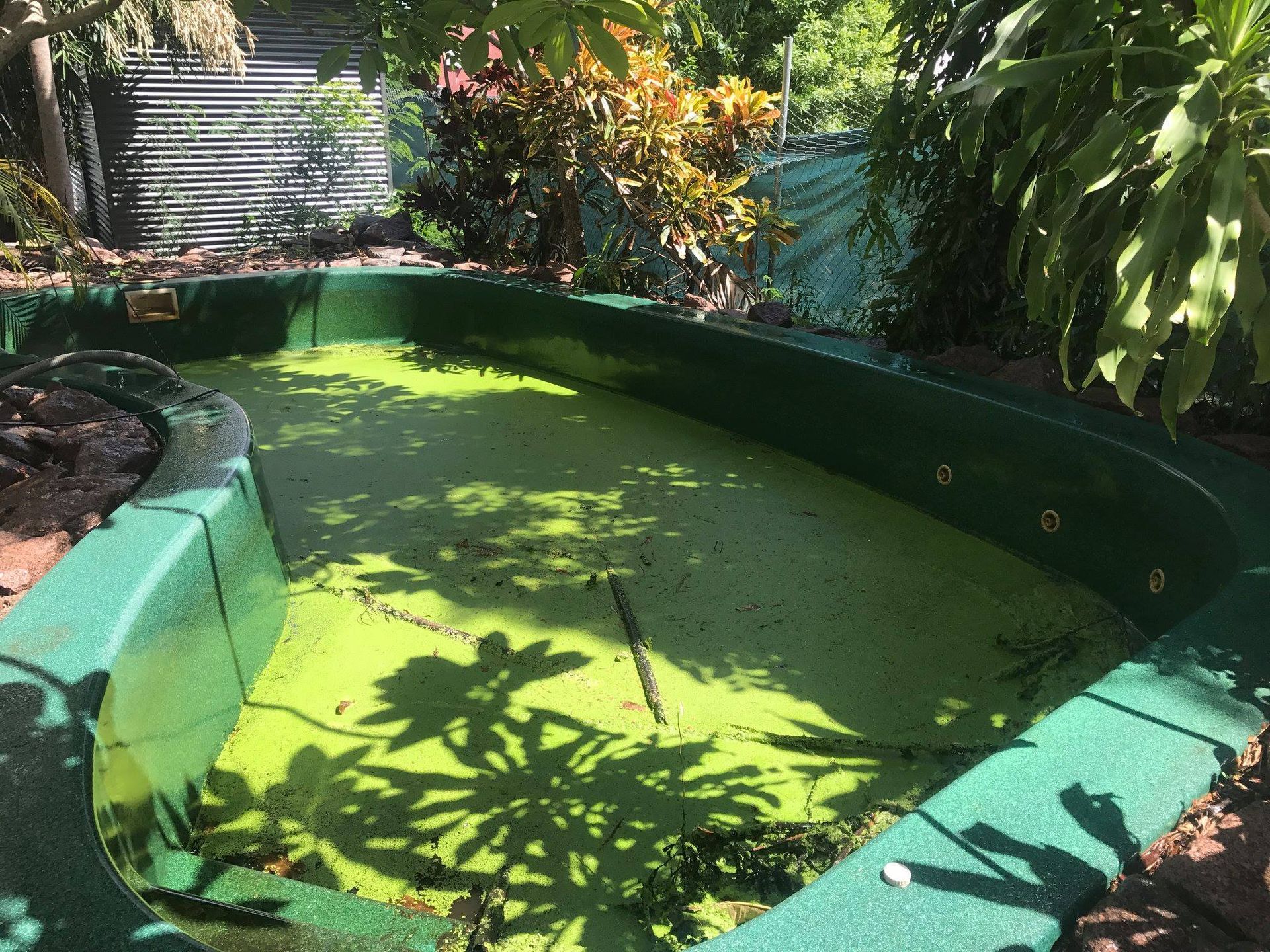 Green Algae-filled Pond With a Green Border — Fannie Bay Pool Shop in Tiwi, NT