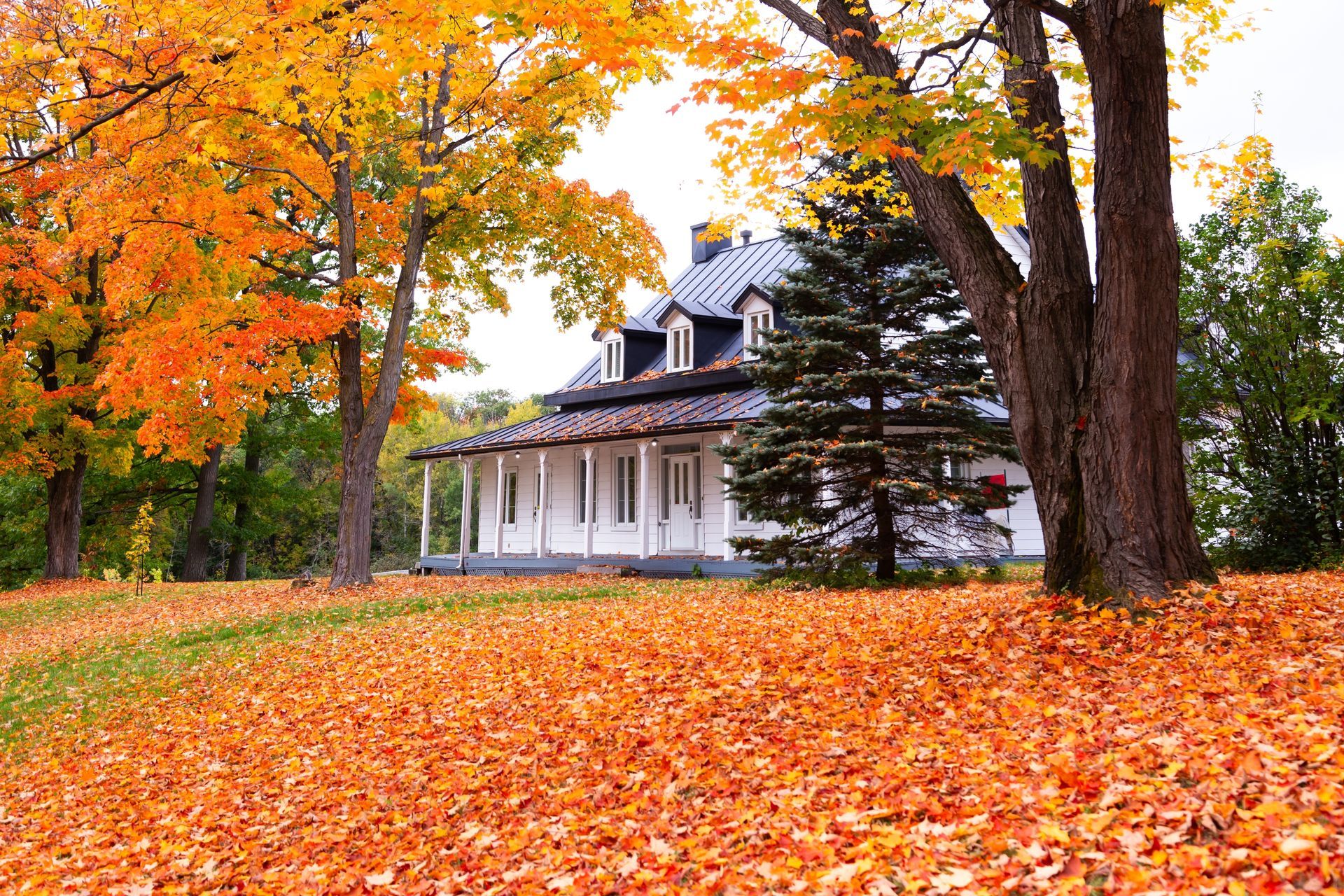 A white house is surrounded by trees and leaves in autumn