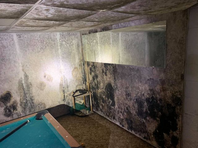 Residential Mold Remediation and Mold Cleanup Services in Chicagoland