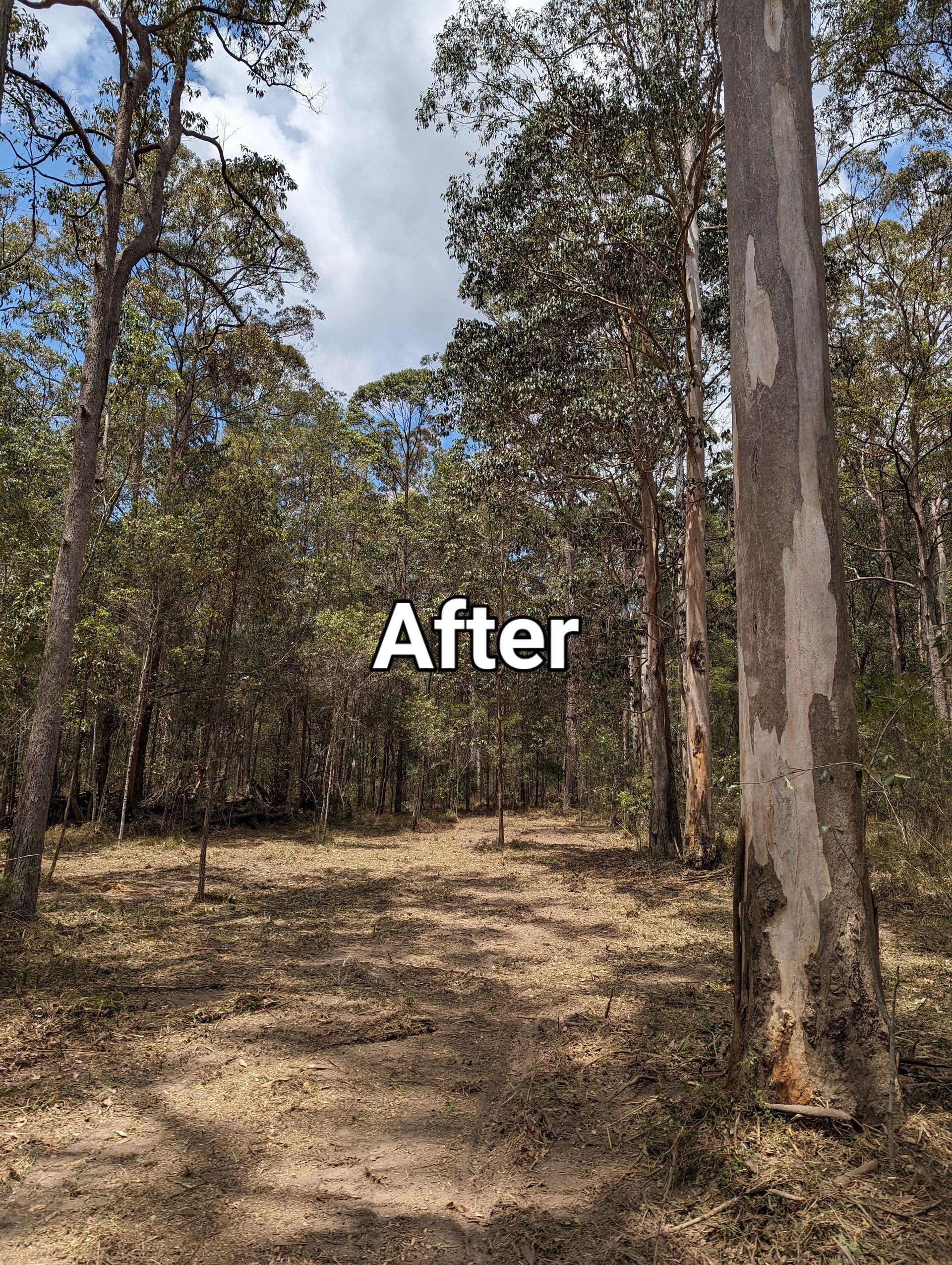 After - Cleared undergrown, reclaimed land, improved property value and soil quality.