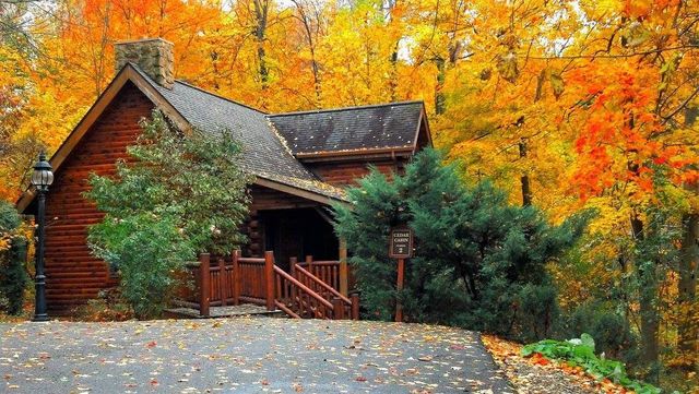 Setting Up An Autumn Beverage Center - Cottage in the Oaks