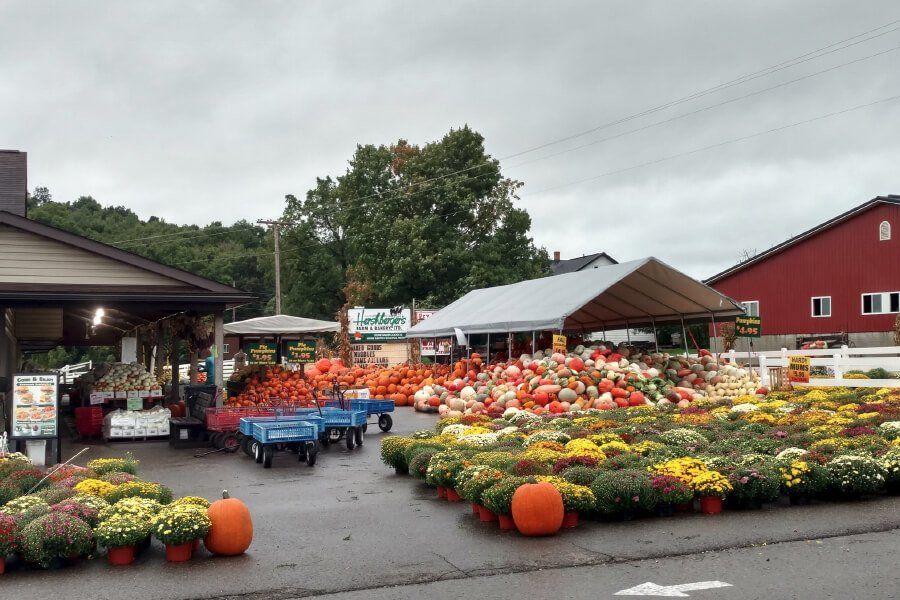 Sept - Hershberger's Farm and Bakery