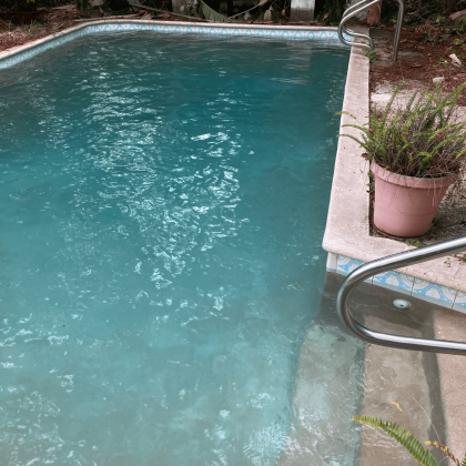 A swimming pool with a pink potted plant on the side of it.