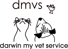 Vets in Darwin