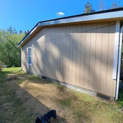 A dog is standing in front of a mobile home.