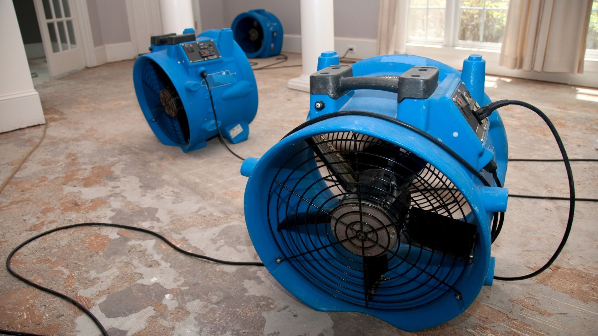Three blue industrial air movers placed on a concrete floor in a room, used for drying after water damage.