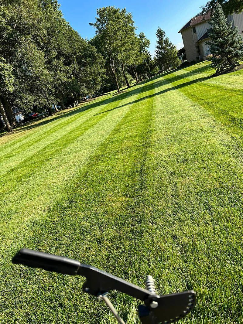 A lawn mower is cutting a lush green lawn.