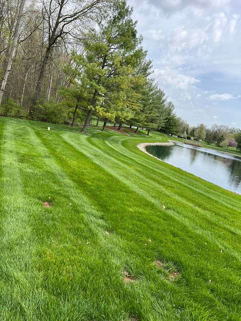 A lush green lawn with trees and a pond in the background.