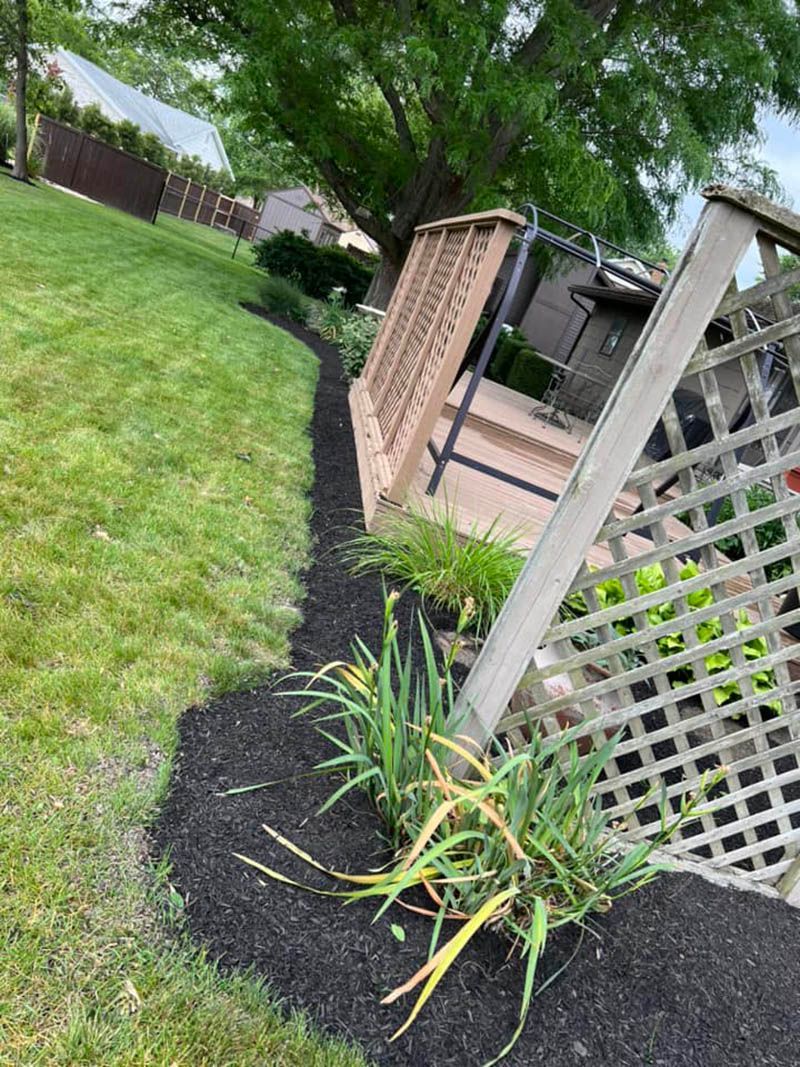 A fence is sitting in the middle of a lush green yard.