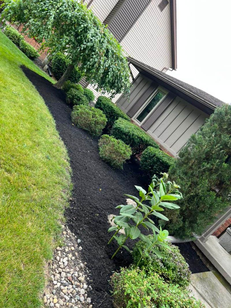 A house with a lush green lawn and bushes in front of it.