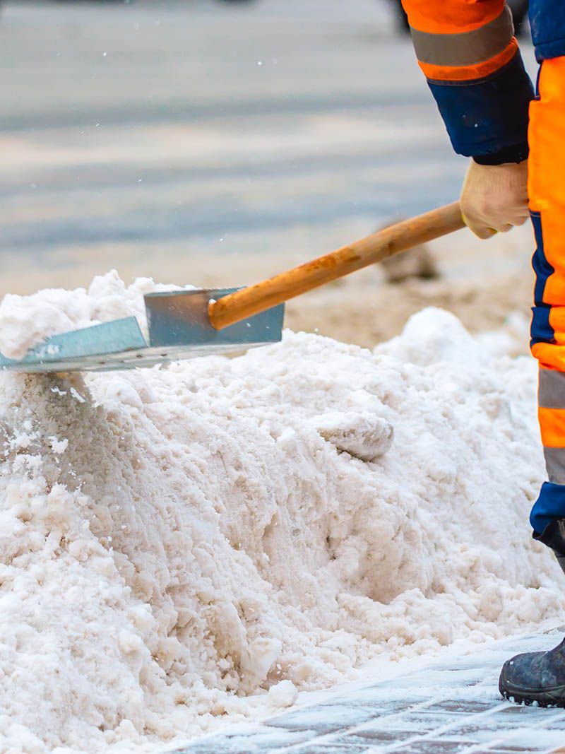 A person is shoveling snow from the sidewalk with a shovel.