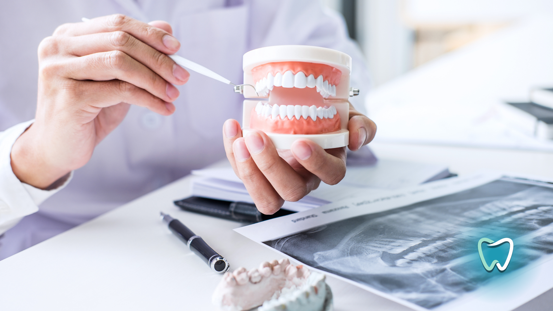 A dentist is holding a model of teeth in his hands.