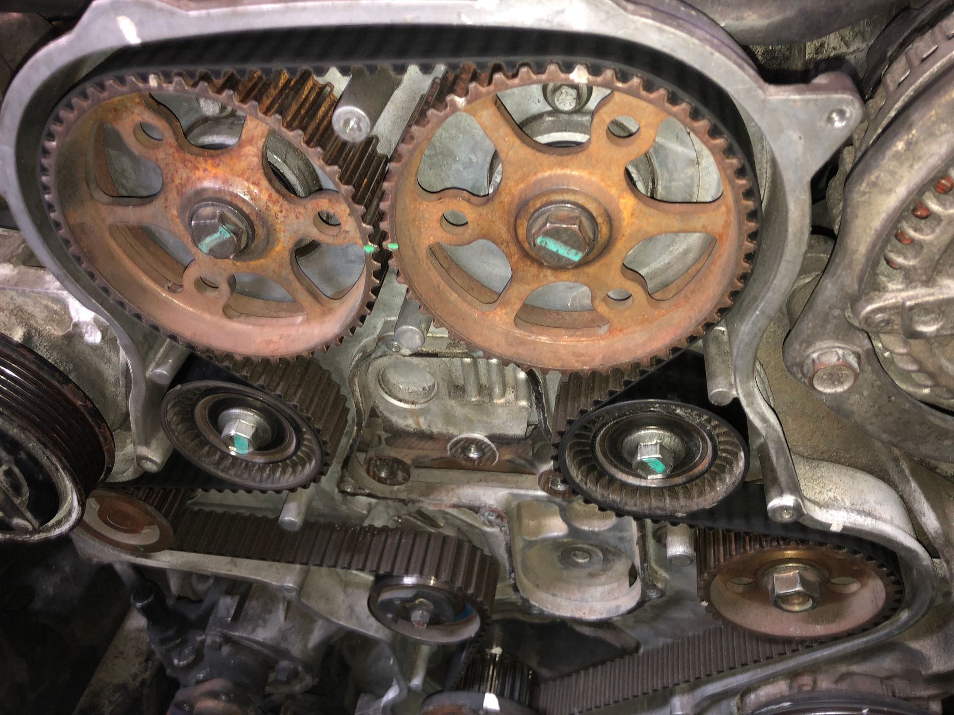 A close up of a timing belt on a car engine.