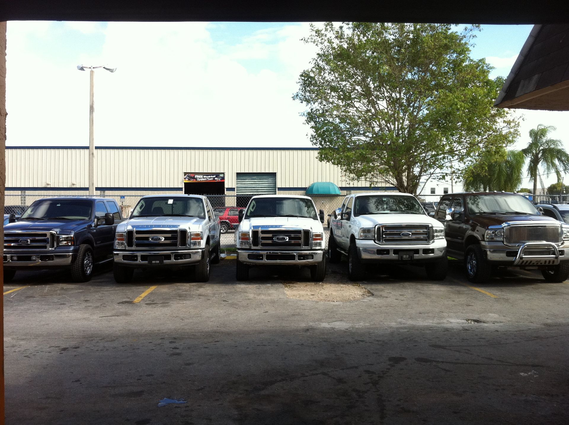 A row of ford trucks are parked in a parking lot