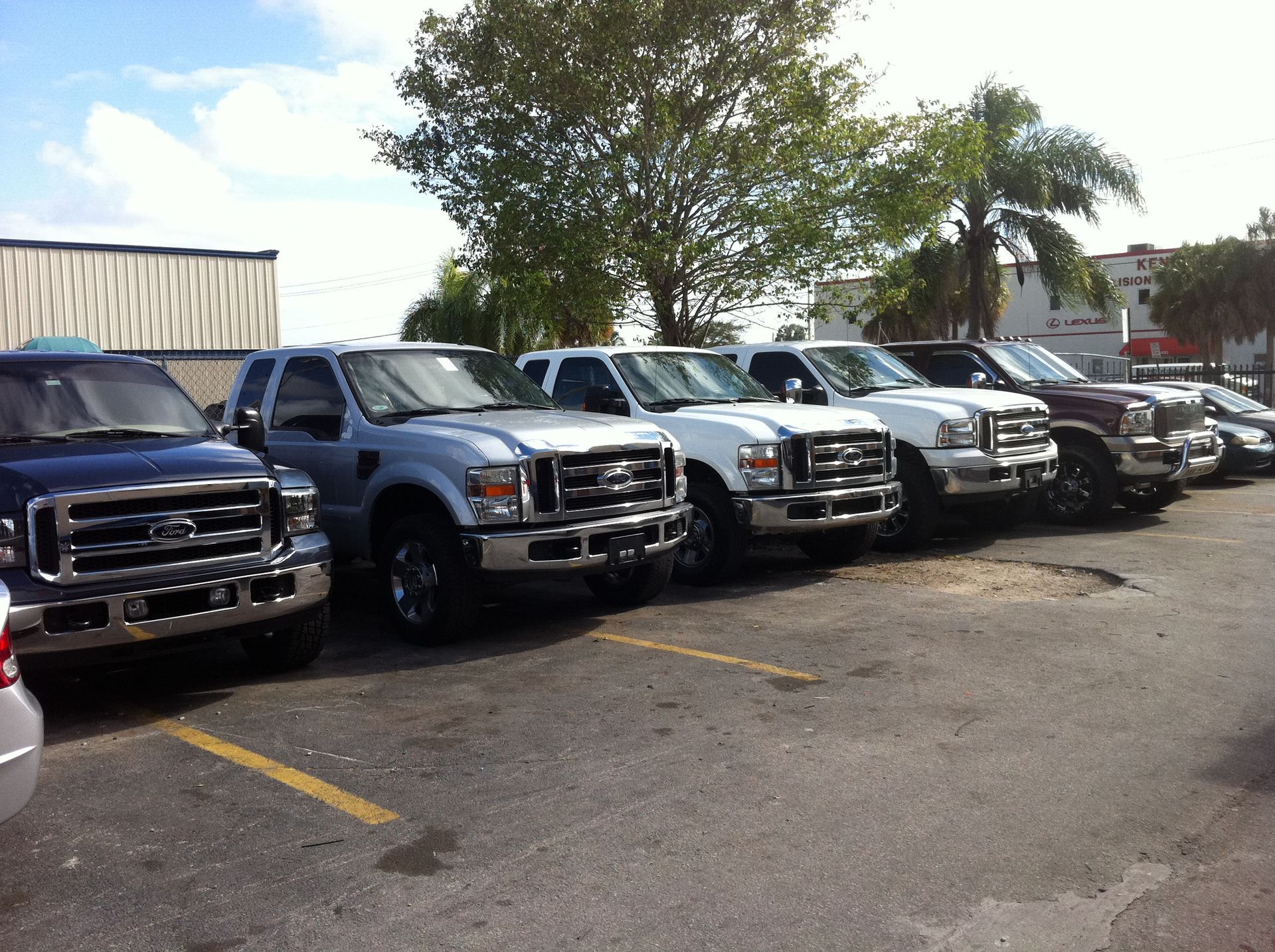 A row of ford trucks are parked in a parking lot