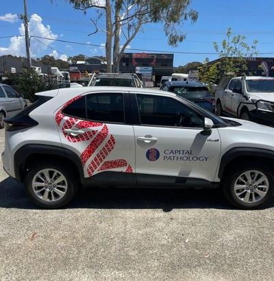 A White Car is Parked on the Side of the Road in a Parking Lot — Signworld In Mitchell, ACT