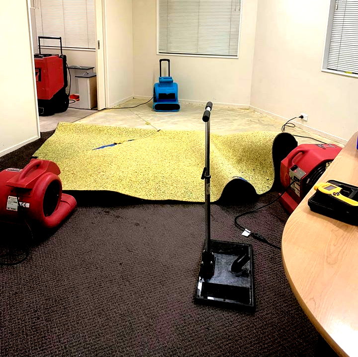 Flood Restoration Intensive Carpet Clean