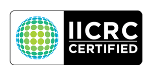 Intensive Carpet Clean IICRC certified