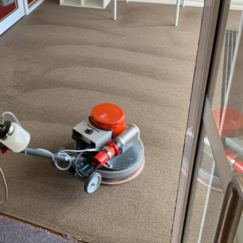 Low Moisture Carpet Cleaning Nelson