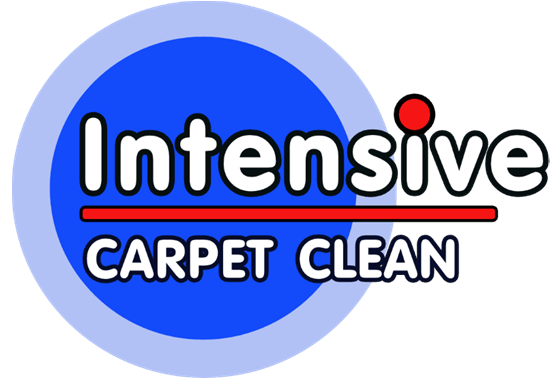Intensive Carpet Clean Nelson