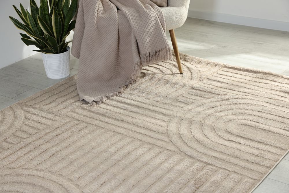 Beige rug with geometric pattern, chair with throw blanket, and potted plant against a white wall.
