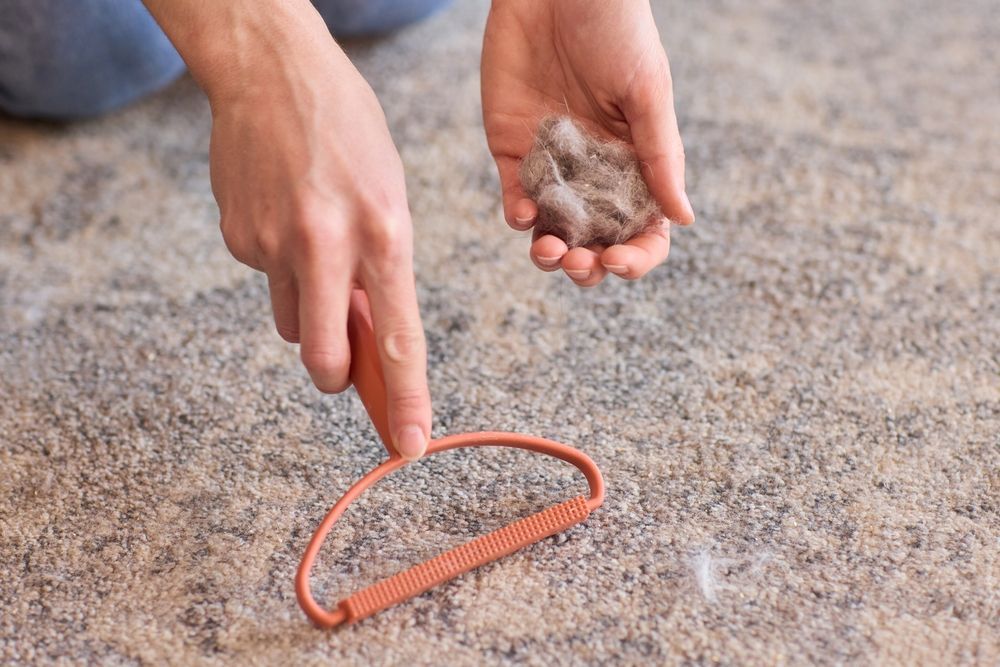 Person holding a ball of lint and a lint removal tool on a carpet.