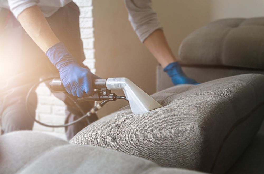 Person in blue gloves cleaning a gray sofa with a handheld upholstery cleaner.