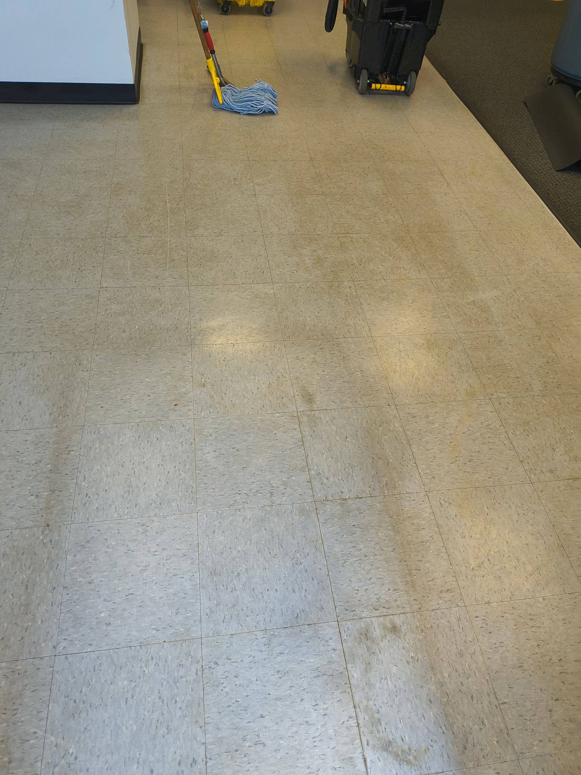 Mop cleaning a light-colored speckled floor in an office setting.