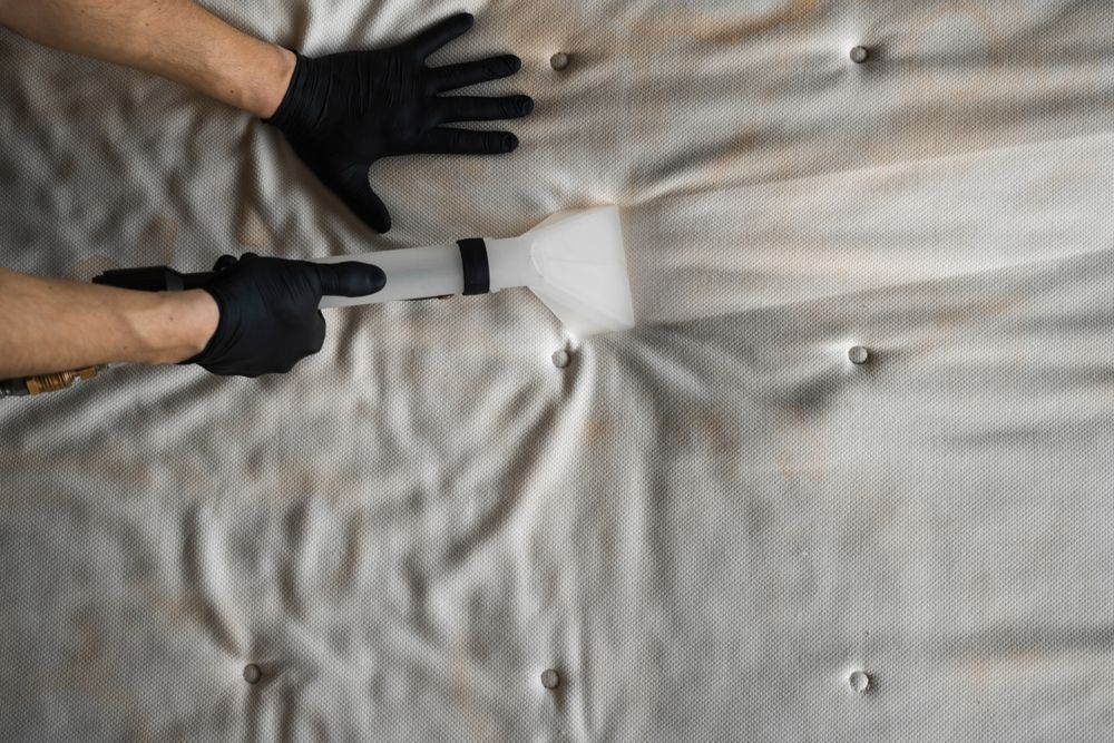 Hands in black gloves cleaning a stained mattress with a handheld cleaning tool.
