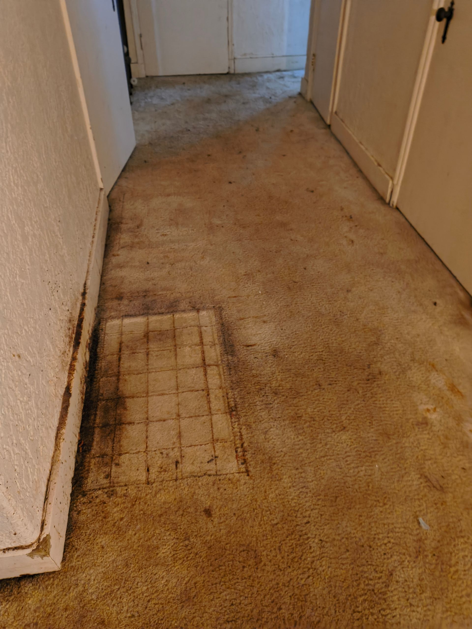 Hallway with stained, dirty carpet and a vent. Brown carpet, beige walls.