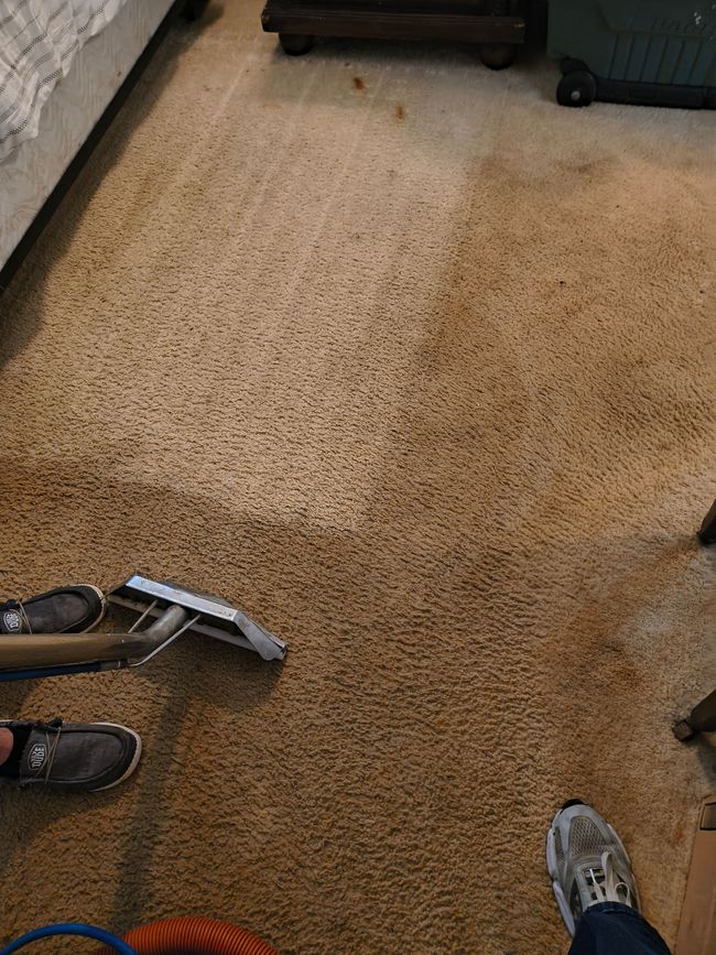 Brown carpet with lighter patches, shoes, and a cleaning tool.
