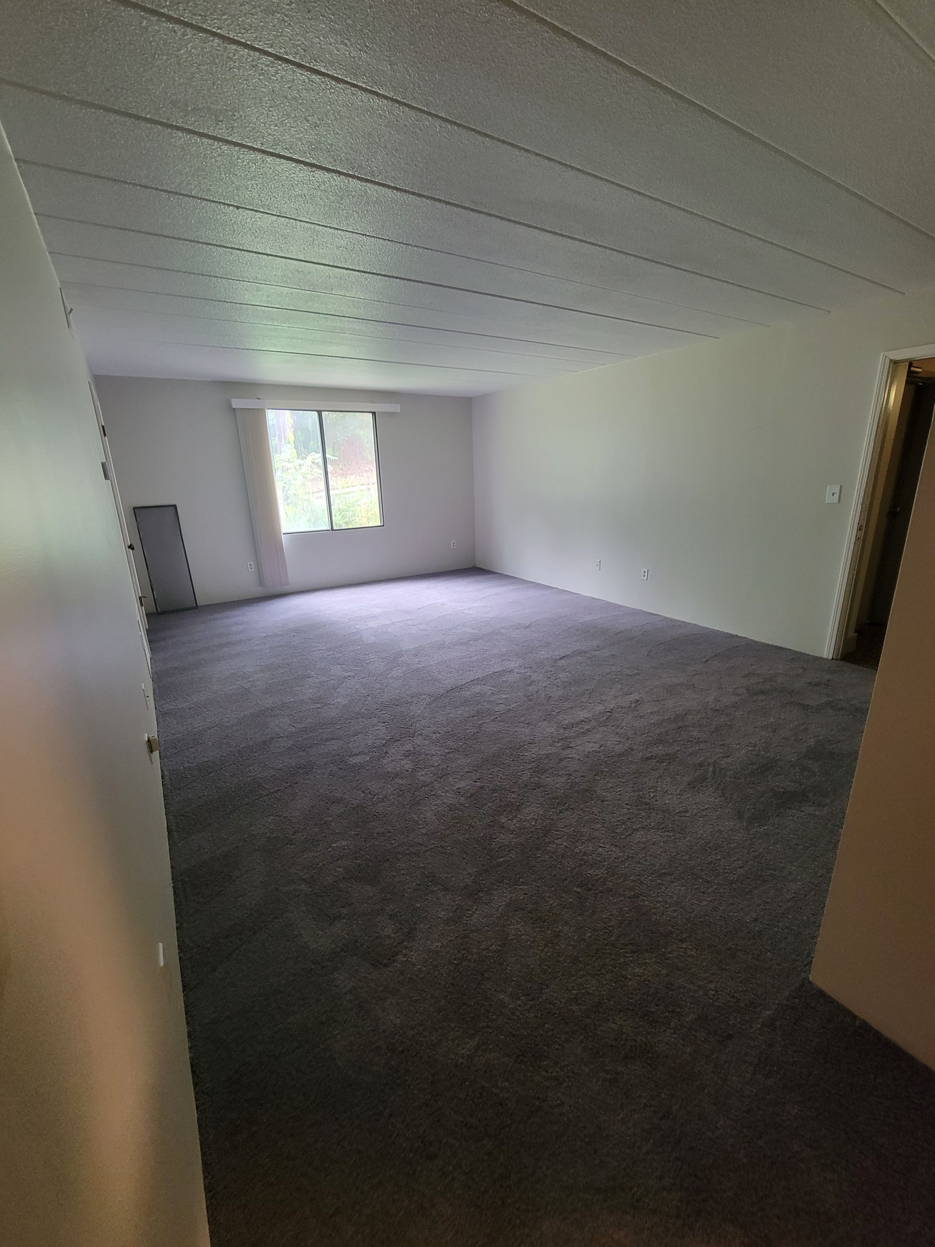 An empty living room with a carpeted floor and a window.