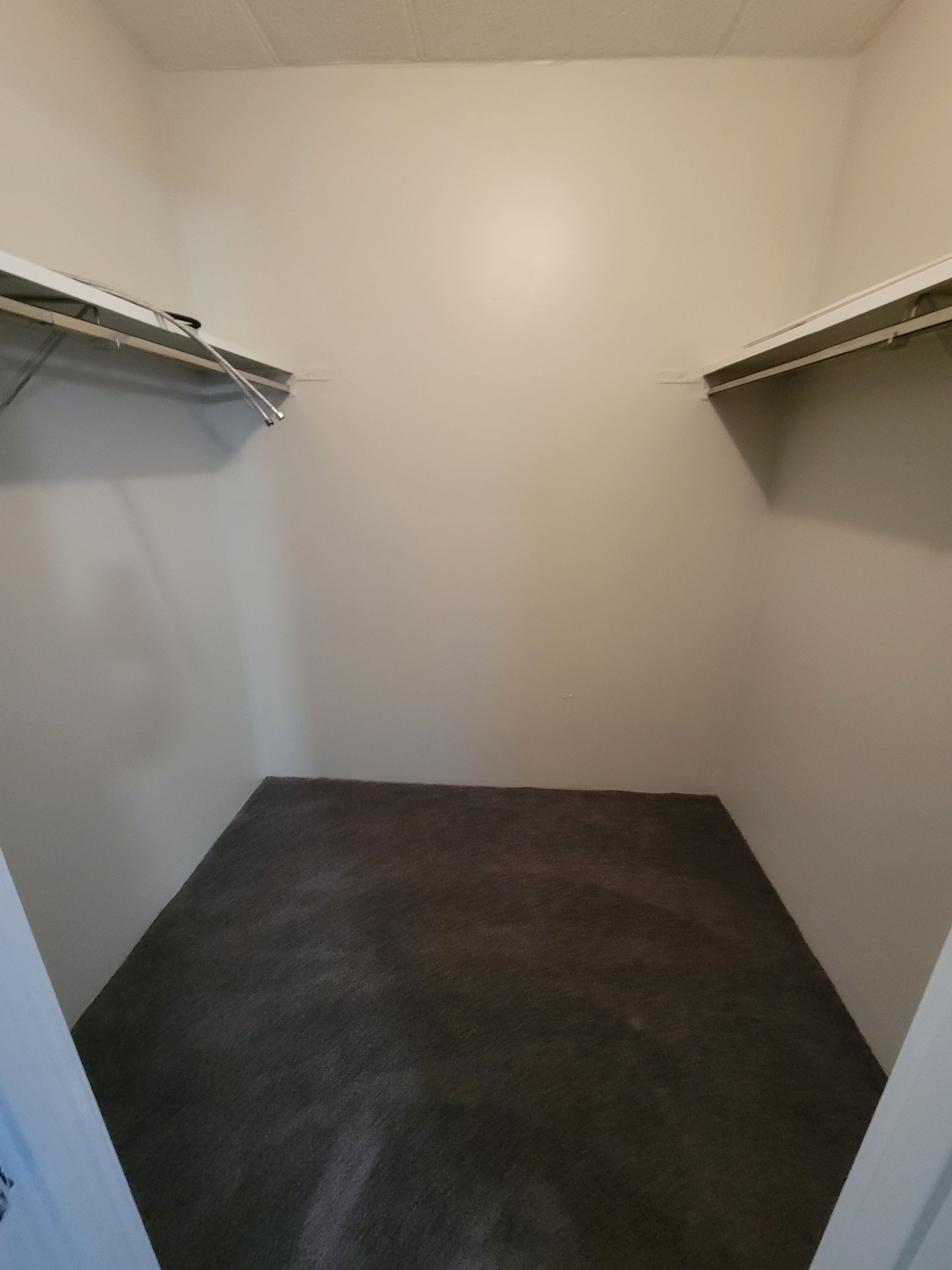 An empty walk in closet with a gray carpet and white walls.