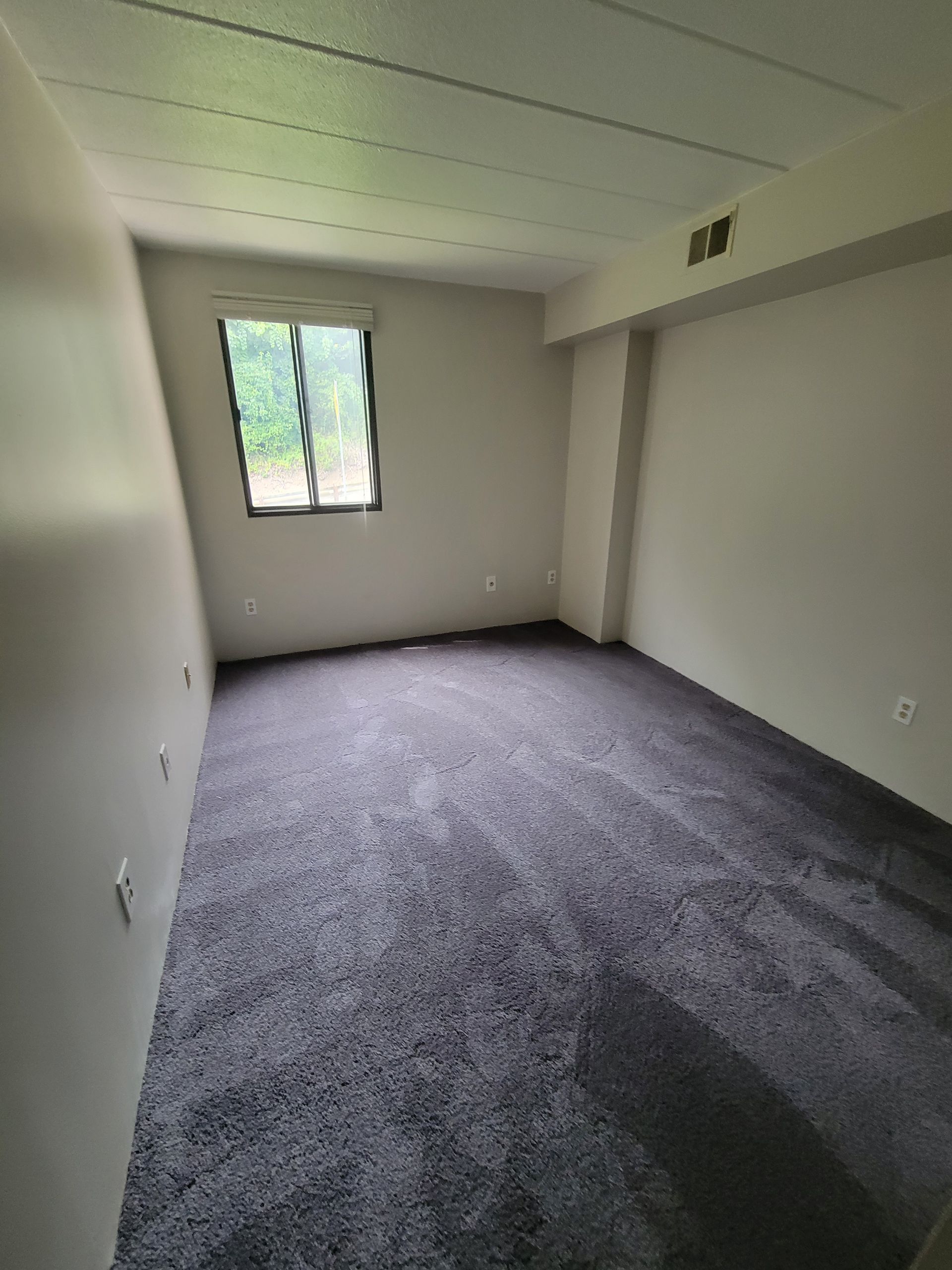 An empty room with a purple carpet and a window.