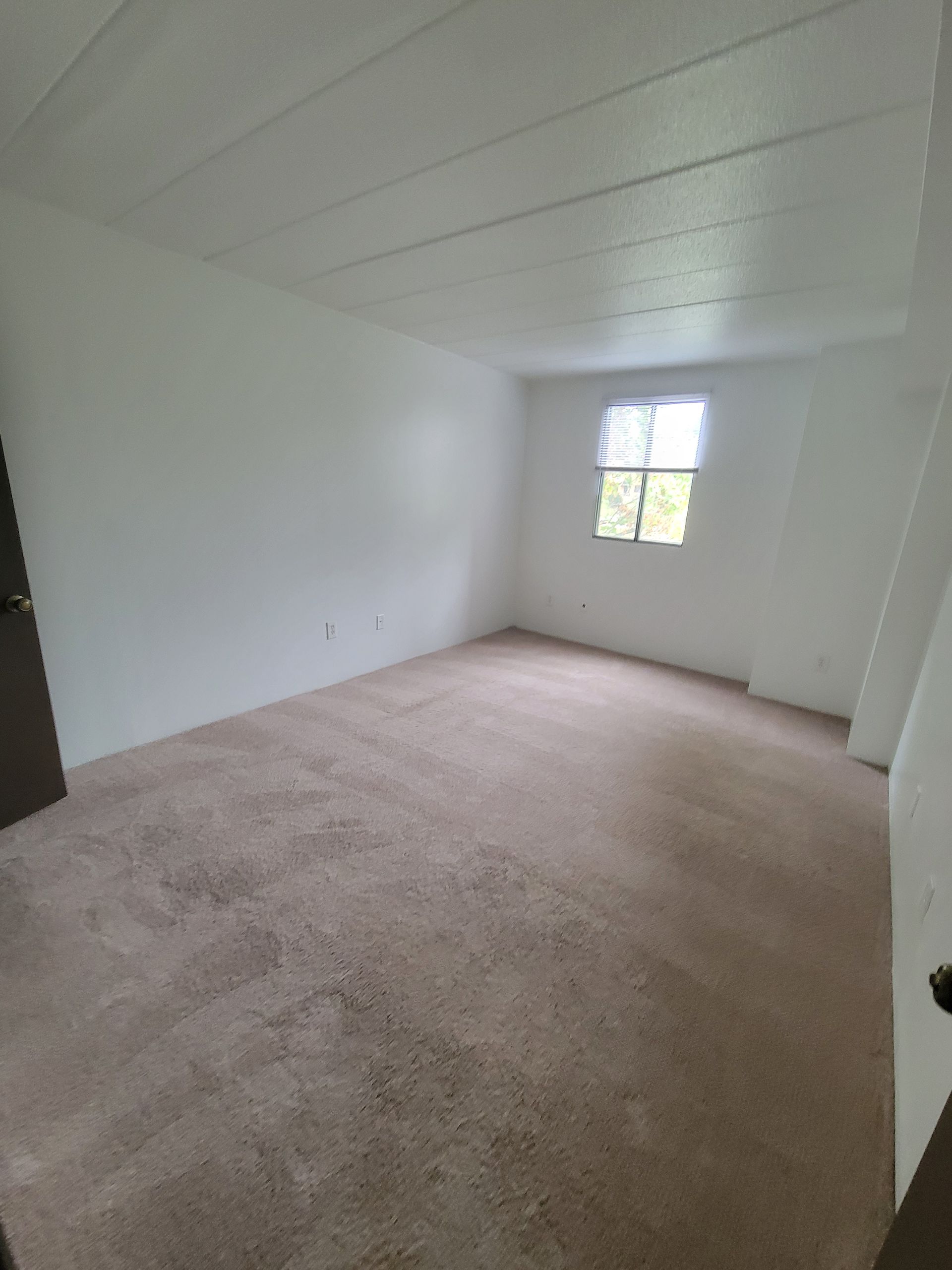 An empty room with a window and a carpeted floor.