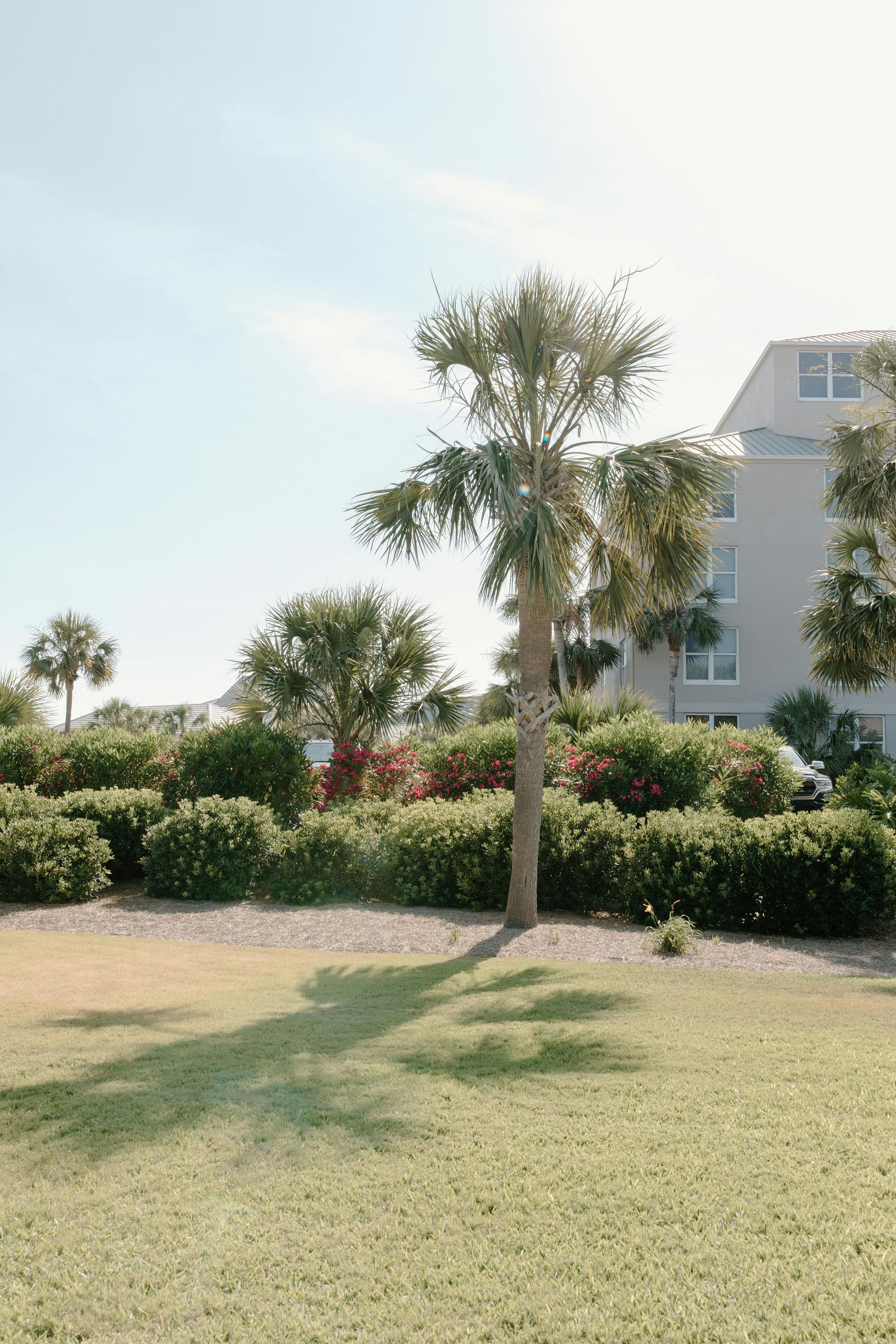 The golden gate bridge in san francisco is covered in fog