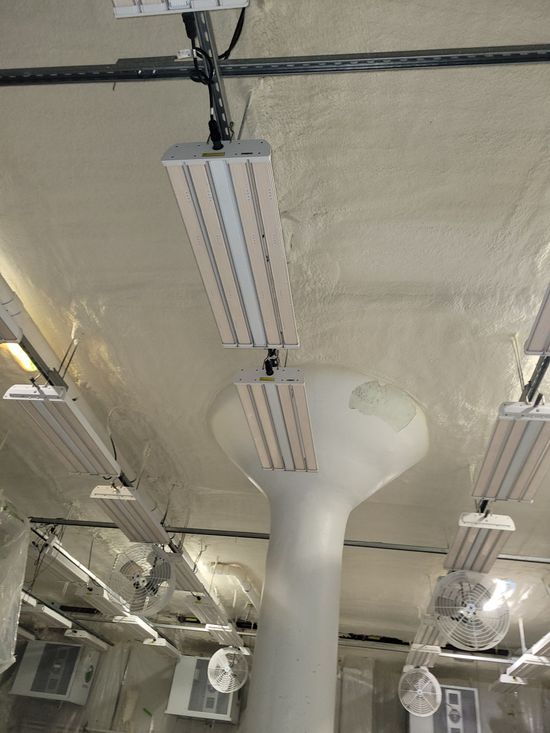 An attic with a lot of insulation and pipes hanging from the ceiling.
