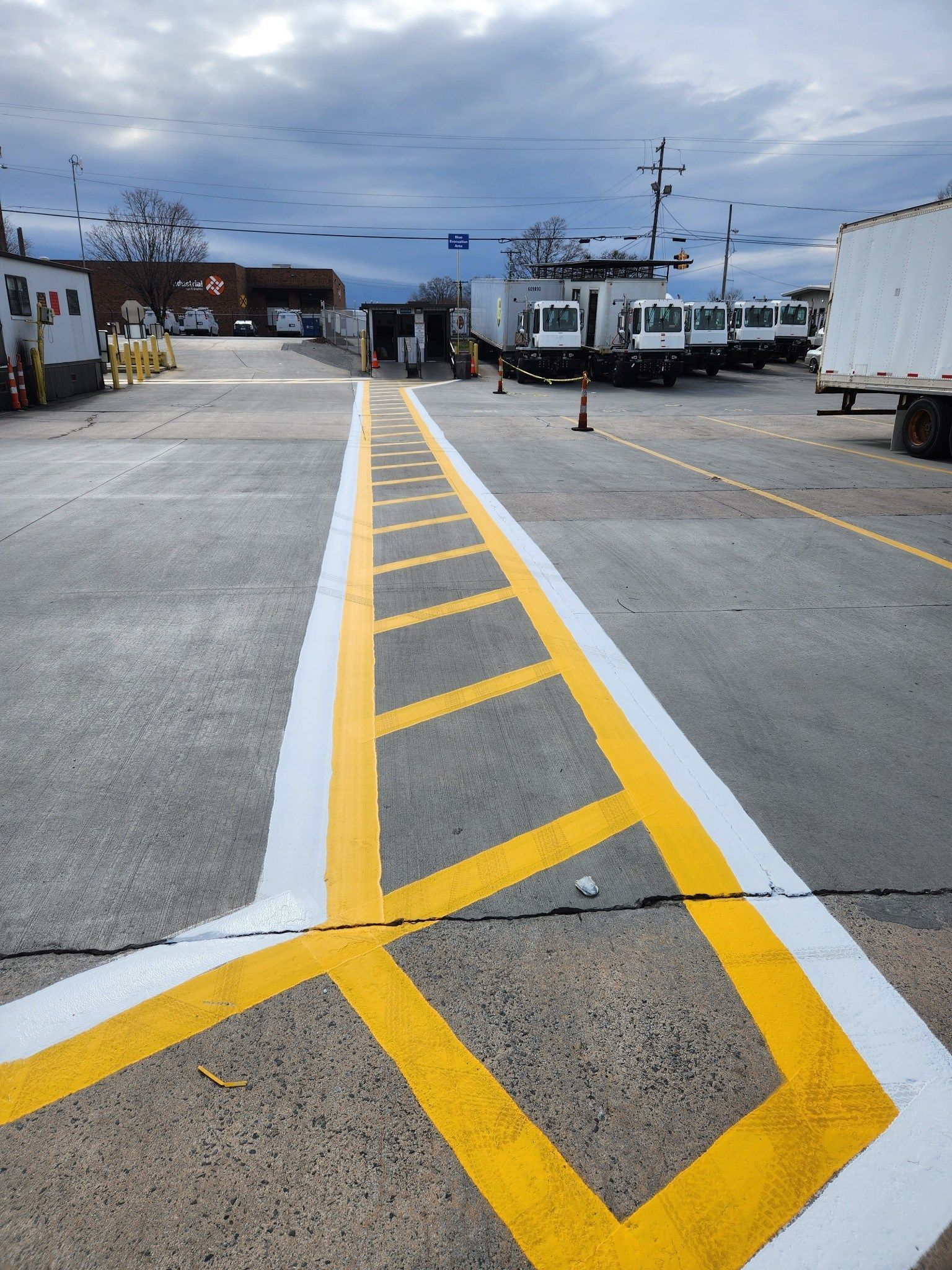 A lot of trucks are parked in a parking lot with yellow and white lines.