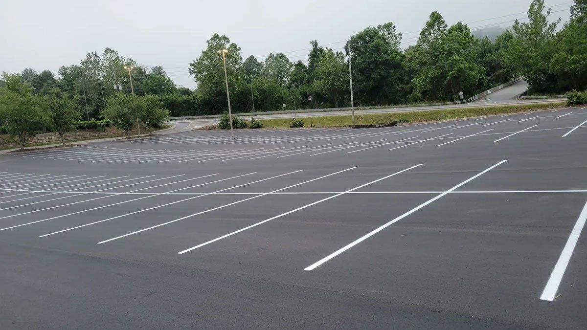 A parking lot with white lines and trees in the background.