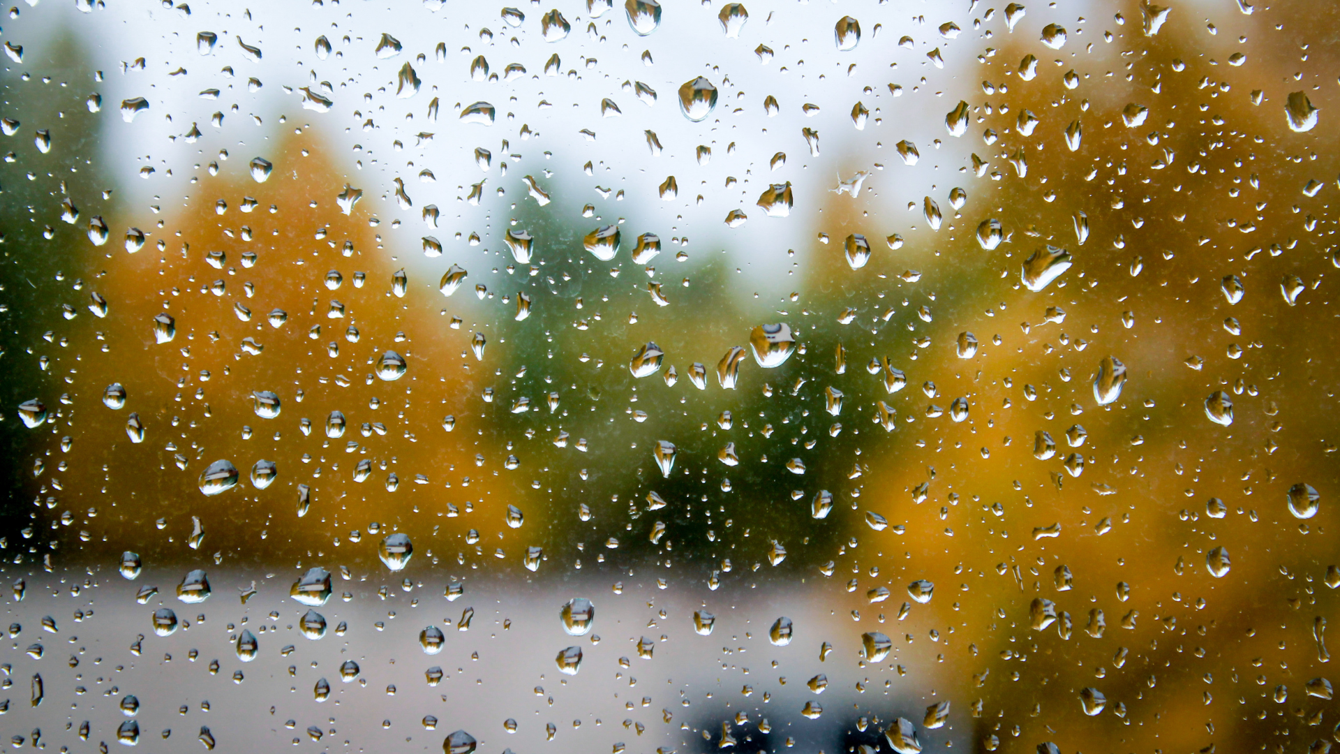 Rain drops on a window with trees in the background