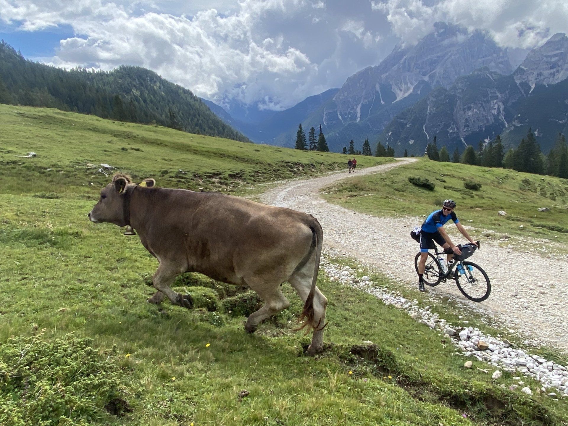 Een man fietst naast een koe op een onverharde weg