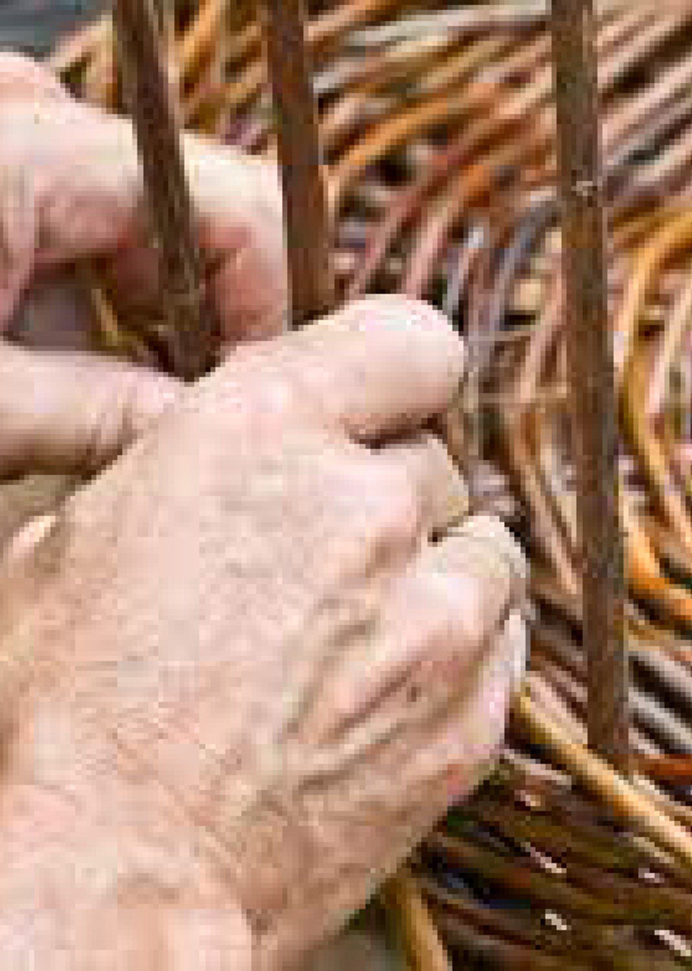 Eventi Appiano febbraio 2022.