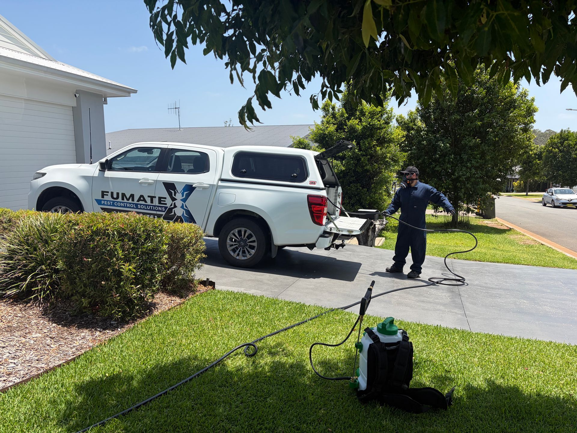 Ants Crawling Along a Wooden Floor Near a Wooden Cabinet Corner — FUMATEX In Port Macquarie, NSW